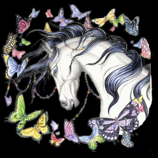 animal-kun a motyl