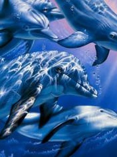 Delfini
