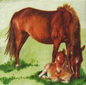 hribe+klisna