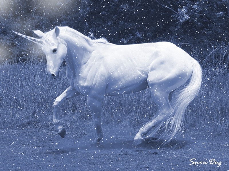 snow_unicorn