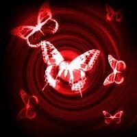 514b0eeb49_8299205_o2