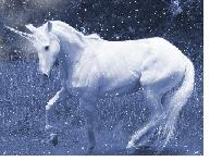 unicorn