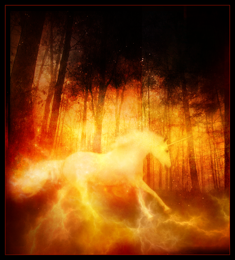 Unicorn_by_LadyElleth