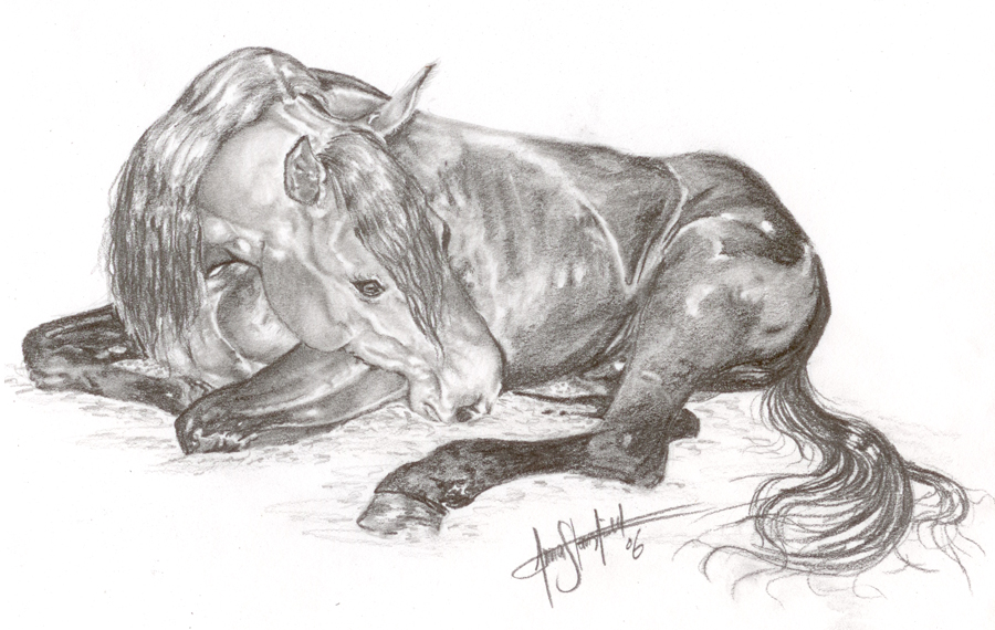 Unicorn_Pose_by_Astriex